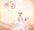 Cherry Blossom Perhume